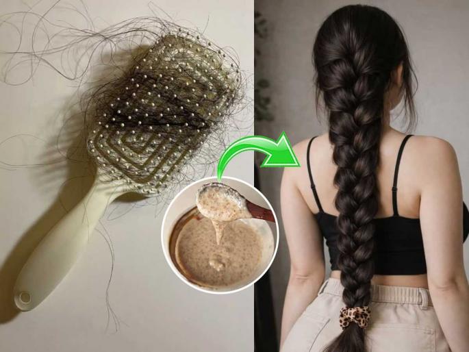 best hair mask for hair fall relief fenugreek seeds cooked rice and coconut oil hair mask for hair fall relief | घराचा कोपरा-उशी-चादरी सर्वत्र केस दिसतात? मेथ्या-भात-खोबरेल तेलाचा ‘हा’ उपाय आजच करा, लगेच... best hair mask for hair fall relief fenugreek seeds cooked rice and coconut oil hair mask for hair fall relief | घराचा कोपरा-उशी-चादरी सर्वत्र केस दिसतात? मेथ्या-भात-खोबरेल तेलाचा ‘हा’ उपाय आजच करा, लगेच...
