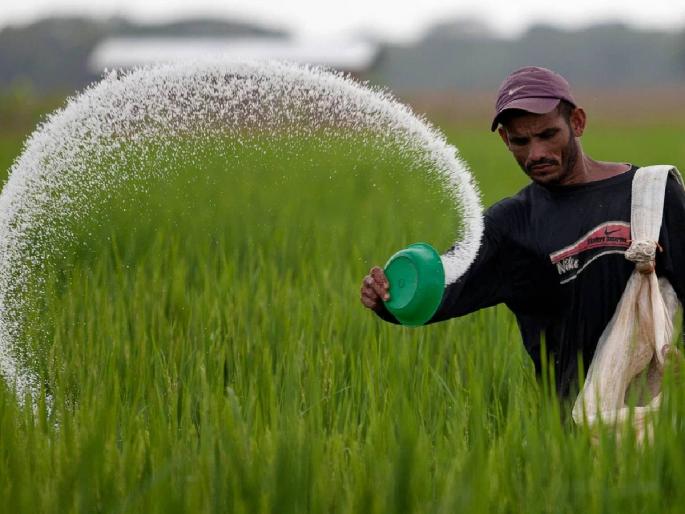 What are the exact demands of All India Fertilizer Manufacturing Companies? | अखिल भारतीय खत वितरकांच्या नक्की मागण्या काय?