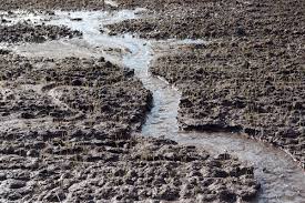 fertile soil ran away with water | खारपाणपट्ट्यात सुपीक माती वाहून जाण्याचे प्रमाण हेक्टरी २६ टनावर ! fertile soil ran away with water | खारपाणपट्ट्यात सुपीक माती वाहून जाण्याचे प्रमाण हेक्टरी २६ टनावर !