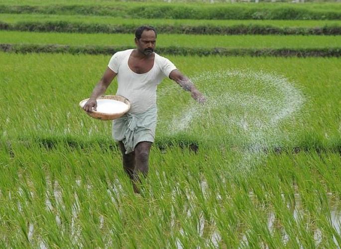 Farmer dies after spraying pesticides in Gondia district | गोंदिया जिल्ह्यात औषध फवारणी केल्याने शेतकऱ्याचा मृत्यू