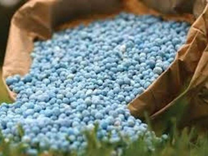 Corona to employees of Goa Company; Fertilizer shortage in Solapur district | गोवा कंपनीत कर्मचाºयांना कोरोना; सोलापूर जिल्ह्यात रासायनिक खताची टंचाई Corona to employees of Goa Company; Fertilizer shortage in Solapur district | गोवा कंपनीत कर्मचाºयांना कोरोना; सोलापूर जिल्ह्यात रासायनिक खताची टंचाई