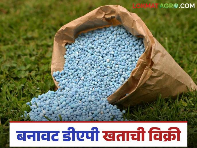 fake DAP fertilizer: Farmers beware of the scam of selling fake fertilizer; Read in detail what it is | fake DAP fertilizer : शेतकऱ्यांनो सावधान बनावट खत विक्रीचा सुळसुळाट; काय आहे प्रकार वाचा सविस्तर
