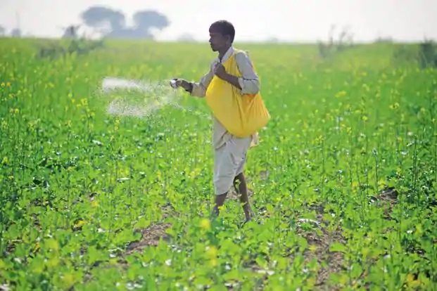 How did the linking fertilizer come to the warehouse? | ऑर्डरच नाही तर गोदामात लिंकिंगचे खत आले कसे ?