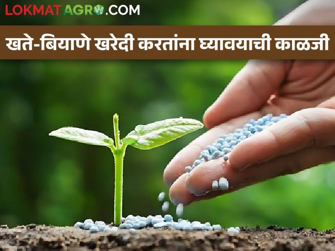 Care to be taken while buying Fertilizer Seeds, Appeal of Agriculture Department | खते बियाणे खरेदी करतांना घ्यावयाची काळजी, कृषी विभागाचे आवाहन Care to be taken while buying Fertilizer Seeds, Appeal of Agriculture Department | खते बियाणे खरेदी करतांना घ्यावयाची काळजी, कृषी विभागाचे आवाहन