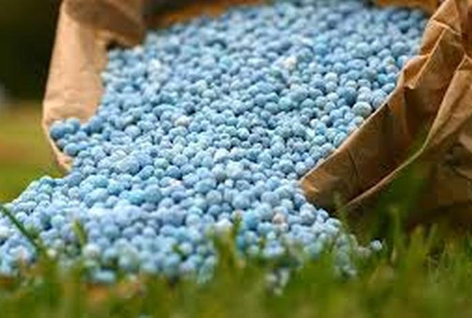 Nandurbar: Adulteration of biological fertilizers, case against Hyderabad company in Nandurbar | Nandurbar: जैविक खतांमध्ये भेसळ, हैदराबादच्या कंपनीविरुद्ध नंदुरबारात गुन्हा Nandurbar: Adulteration of biological fertilizers, case against Hyderabad company in Nandurbar | Nandurbar: जैविक खतांमध्ये भेसळ, हैदराबादच्या कंपनीविरुद्ध नंदुरबारात गुन्हा