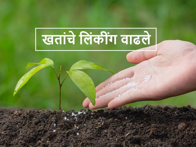 Linking of agri product in Kharif season Unwanted products with fertilizer on farmers! | Kharif Fertilisers: खतासोबत नको असलेली उत्पादने शेतकऱ्यांच्या माथी ! Linking of agri product in Kharif season Unwanted products with fertilizer on farmers! | Kharif Fertilisers: खतासोबत नको असलेली उत्पादने शेतकऱ्यांच्या माथी !