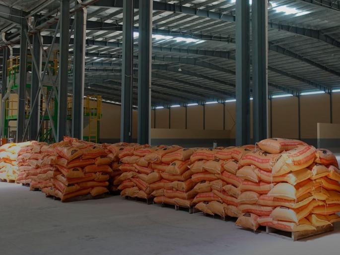 Currently stock of fertilizers in the country is 15 million tonnes | देशात सध्या खतांचा १५० लाख टन साठा Currently stock of fertilizers in the country is 15 million tonnes | देशात सध्या खतांचा १५० लाख टन साठा