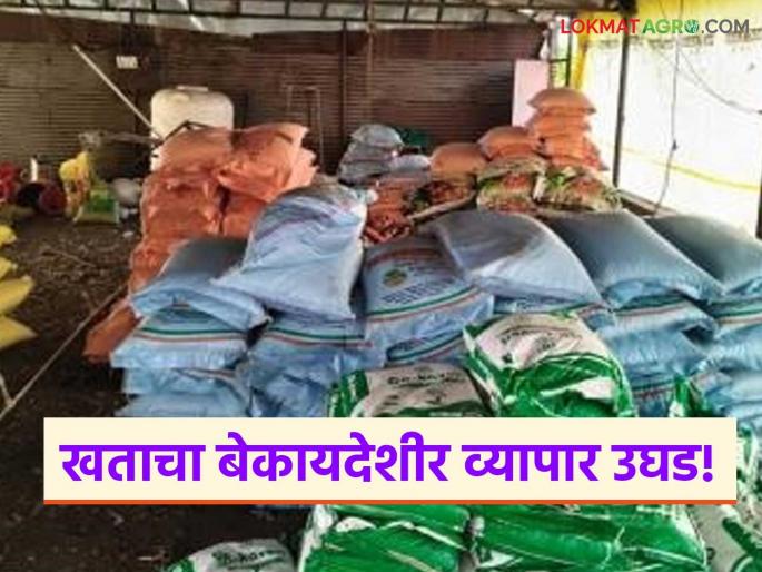 latest news Agriculture News: Fake stock Fertilizer from poultry shed; Read details of Agriculture Department's surgical strike | Agriculture News: पोल्ट्री शेडमधून बनावट साठा जप्त; कृषी विभागाचा सर्जिकल स्ट्राइक वाचा सविस्तर