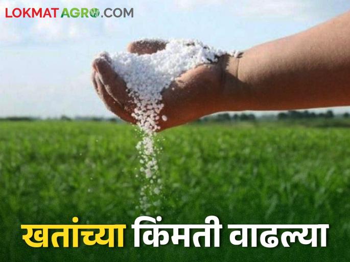 In the season for kharif, the price of chemical fertilizers has increased again | Fertilizer Price खरिपाच्या तोंडावर रासायनिक खतांच्या किमतीत पुन्हा वाढ In the season for kharif, the price of chemical fertilizers has increased again | Fertilizer Price खरिपाच्या तोंडावर रासायनिक खतांच्या किमतीत पुन्हा वाढ