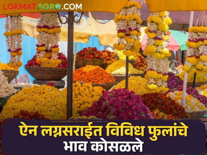The use of plastic flowers are harmful to farmers | प्लास्टीक फुलांचा वापर शेतकऱ्यांच्या मुळावर