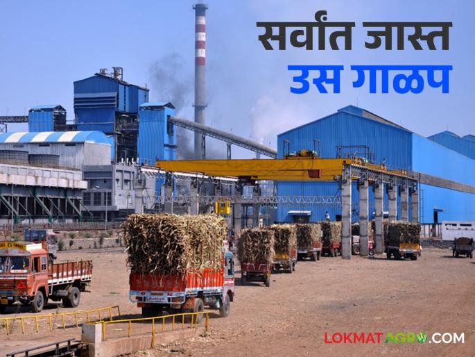 The victory of this factory in the state with the most sugar cane sludge! As much as 21 lakh tons of sugarcane | सर्वांत जास्त उस गाळपात 'या' कारखान्याची राज्यात बाजी! केले तब्बल २१ लाख टनाचे गाळप The victory of this factory in the state with the most sugar cane sludge! As much as 21 lakh tons of sugarcane | सर्वांत जास्त उस गाळपात 'या' कारखान्याची राज्यात बाजी! केले तब्बल २१ लाख टनाचे गाळप