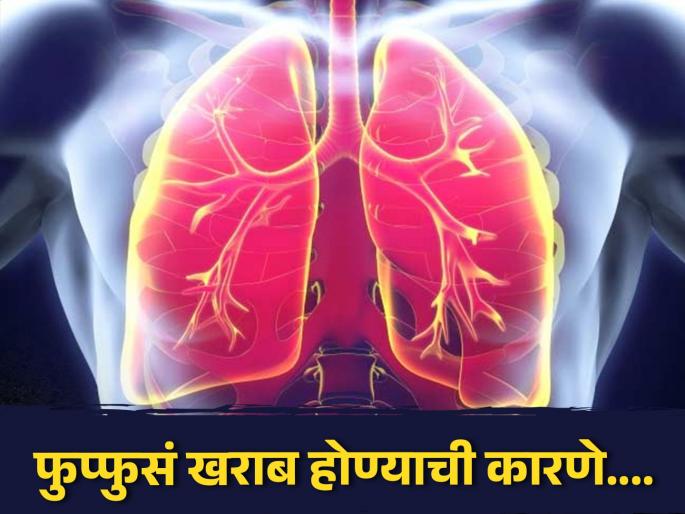 These foods will do bad impact on Lungs, you should know | फक्त सिगारेटच नाही तर या गोष्टींमुळेही फुप्फुसं होतात खराब, लगेच खाणं करा बंद!