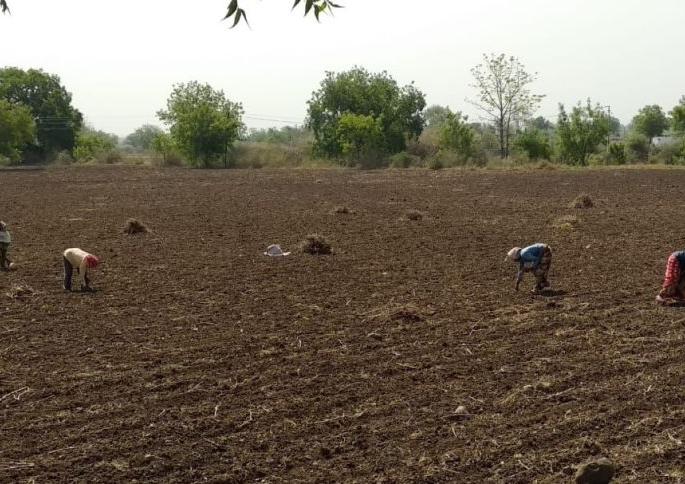 Allocation of only 2.5 per cent crop loan from nationalized banks | राष्ट्रीयकृत बँकाकडून केवळ अडीच टक्के पीक कर्जाचे वाटप