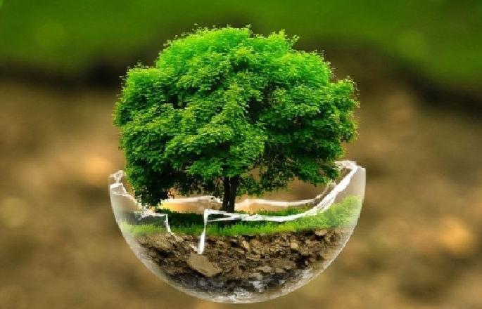 Thousands of environmental activists objected to the proposed amendments to the Forest Conservation Act submitted by the Union Ministry of Forests and Environment | सुधारणा नाही, वन कायदा कमजाेर करण्याचे षडयंत्र