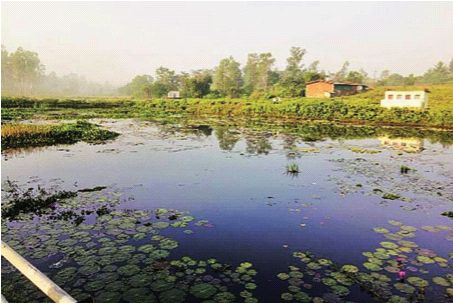Jamsar's Heritage Lake Wetland declared | जामसरचा हेरिटेज तलाव वेटलॅण्ड घाेषित Jamsar's Heritage Lake Wetland declared | जामसरचा हेरिटेज तलाव वेटलॅण्ड घाेषित