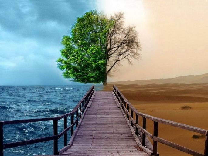 Let's balance nature for a healthy lifestyle! | आरोग्यदायी वसुंधरेसाठी निसर्गाचा समतोल राखूया!