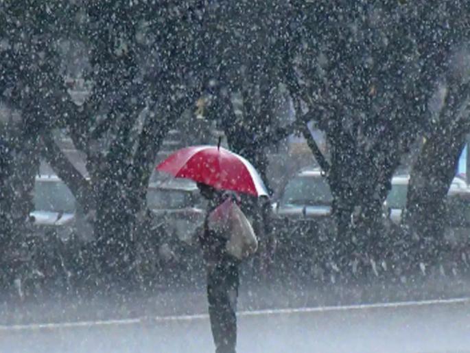 heavy rain again this week! Danger to harvested crops in Maharashtra, kokan | हा आठवडा परतीच्या पावसाचा! कापणीला आलेल्या पिकांना धोका heavy rain again this week! Danger to harvested crops in Maharashtra, kokan | हा आठवडा परतीच्या पावसाचा! कापणीला आलेल्या पिकांना धोका