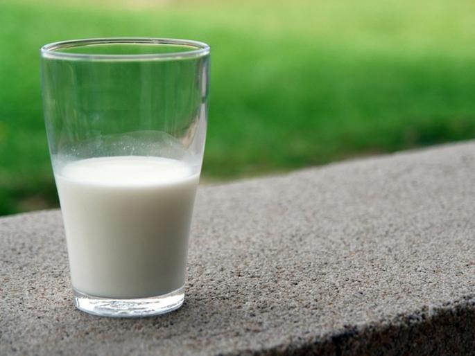 Careful! Cancer found in cow-buffalo; Be careful when drinking milk | सावधान! गाय-म्हशींमध्ये आढळला कॅन्सर; दूध पिताना ही काळजी घ्याच Careful! Cancer found in cow-buffalo; Be careful when drinking milk | सावधान! गाय-म्हशींमध्ये आढळला कॅन्सर; दूध पिताना ही काळजी घ्याच