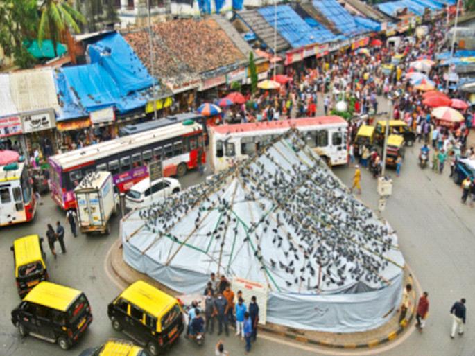 Wave of controversy over pigeon coop, opposition to action in Dadar; Minister Mangal Prabhat Lodha writes to Commissioner to find a solution | कबुतरखान्यावरून वादाचे तरंग, दादरमध्ये कारवाईला विरोध; तोडगा काढण्यासाठी मंत्री मंगल प्रभात लोढा यांचे आयुक्तांना पत्र