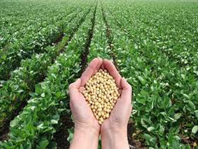 Fraud case filed against 'Eagle' in soybean bogus seed case | सोयाबीन बोगस बियाणे प्रकरणी 'ईगल'वर फसवणुकीचा गुन्हा दाखल Fraud case filed against 'Eagle' in soybean bogus seed case | सोयाबीन बोगस बियाणे प्रकरणी 'ईगल'वर फसवणुकीचा गुन्हा दाखल