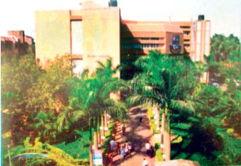 Take the municipal law officer to Bad | पालिकेच्या विधी अधिकाऱ्याला बडतर्फ करा