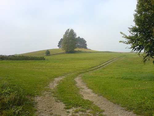 Roads for obstructed farming will be free! | अडवलेले शेतीच्या वहिवाटीचे रस्ते होणार मोकळे ! Roads for obstructed farming will be free! | अडवलेले शेतीच्या वहिवाटीचे रस्ते होणार मोकळे !