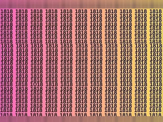 Optical Illusion: Find the different number 1018 in the photo in 10 seconds, many people are tired of searching! | चॅलेंज! 10 सेकंदात शोधून दाखवा फोटोतील 1018 हा वेगळा नंबर, अनेकजण शोधून थकले!