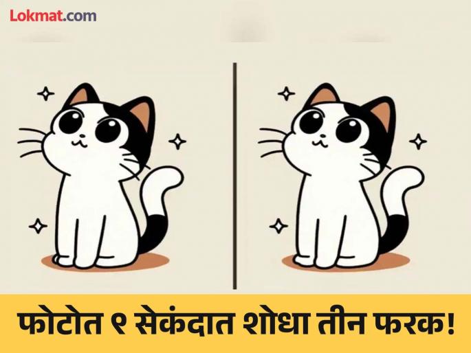 Optical Illusion : Can you find 3 difference in this cat photo in 9 second | मांजरीच्या एकसारख्या दिसणाऱ्या फोटोत शोधून दाखवा ३ फरक, ठराल जीनिअस! Optical Illusion : Can you find 3 difference in this cat photo in 9 second | मांजरीच्या एकसारख्या दिसणाऱ्या फोटोत शोधून दाखवा ३ फरक, ठराल जीनिअस!