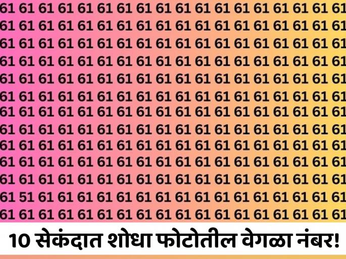 Optical Illusion : Can You Find The Hidden Number 51 In This Image | 10 सेकंदात शोधून दाखवा फोटोतील वेगळा नंबर, जास्तीत जास्त लोक झाले फेल!