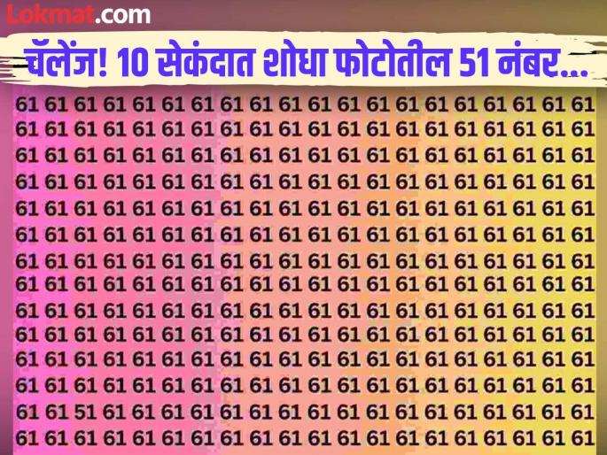 Optical illusion Challenge : Find the hidden number 51 in this image | चॅलेंज! 10 सेकंदात शोधा फोटोतील 51 हा नंबर, 99 टक्के लोक झालेत फेल... Optical illusion Challenge : Find the hidden number 51 in this image | चॅलेंज! 10 सेकंदात शोधा फोटोतील 51 हा नंबर, 99 टक्के लोक झालेत फेल...
