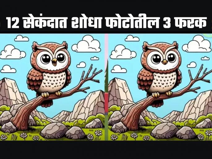 Optical Illusion : Can you spot three differences in 12 seconds in this Owl picture | घुबडाच्या 'या' फोटोत आहेत ३ फरक, भलेभले शोधून थकले; तुम्हीही ट्राय करा! Optical Illusion : Can you spot three differences in 12 seconds in this Owl picture | घुबडाच्या 'या' फोटोत आहेत ३ फरक, भलेभले शोधून थकले; तुम्हीही ट्राय करा!