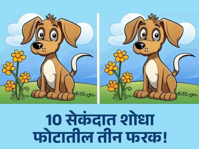 Optical illusion : Are you smarter than children then find 3 differences between these two pictures | Optical Illusion: एकसारखे दिसत असले तरी एकसारखे नाहीत हे फोटो, शोधून दाखवा फरक!