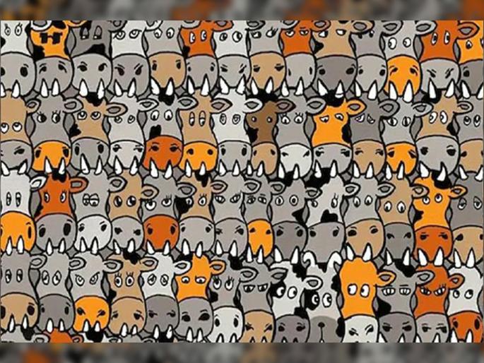 find dog from cow cartoons in this optical illusion picture | म्हशींच्या कळपात दडलाय कुत्रा! तुम्ही शोधलात १० सेकंदात तर ठराल खरे जिनियस...घ्या चॅलेंज find dog from cow cartoons in this optical illusion picture | म्हशींच्या कळपात दडलाय कुत्रा! तुम्ही शोधलात १० सेकंदात तर ठराल खरे जिनियस...घ्या चॅलेंज