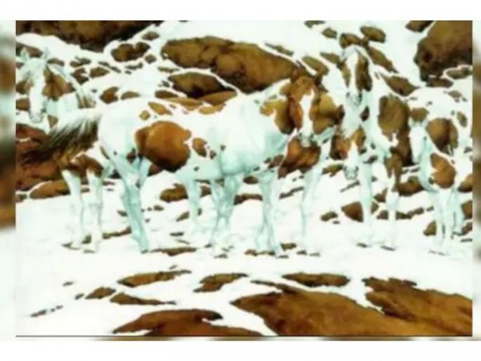 how many horses in this photo 99 percent see 5 but actual horses are 7 know how | या फोटोत किती घोडे? ९९ टक्के लोकांना दिसले ५ पण आहेत....;शोधा म्हणजे सापडेल how many horses in this photo 99 percent see 5 but actual horses are 7 know how | या फोटोत किती घोडे? ९९ टक्के लोकांना दिसले ५ पण आहेत....;शोधा म्हणजे सापडेल