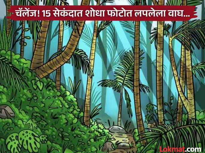 Spot The Tiger In 15 Seconds Hidden In This Photo | चॅलेंज! 15 सेकंदात शोधून दाखवा फोटोत लपून बसलेला वाघ, 90 टक्के लोक झालेत फेल!