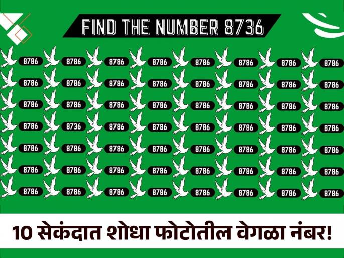Optical Illusion : Sharpest eyes people can find the Number 8736 in 10 Secs | जीनिअस असाल तर 10 सेकंदात शोधून दाखवा फोटोतील वेगळा नंबर, 99 टक्के लोक झाले फेल! Optical Illusion : Sharpest eyes people can find the Number 8736 in 10 Secs | जीनिअस असाल तर 10 सेकंदात शोधून दाखवा फोटोतील वेगळा नंबर, 99 टक्के लोक झाले फेल!