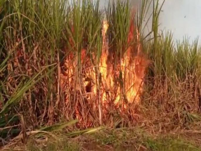 Over sixty acres of sugarcane was burnt at Ranjangaon Sandus | रांजणगाव सांडस येथे साठ एकराच्या वर ऊस जळून खाक Over sixty acres of sugarcane was burnt at Ranjangaon Sandus | रांजणगाव सांडस येथे साठ एकराच्या वर ऊस जळून खाक