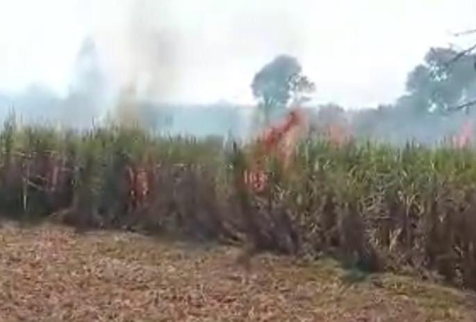 Sugarcane fire in 50 acres of sugarcane field | शिरसंगीत ५० एक्करमधील उसाच्या फडाला आग Sugarcane fire in 50 acres of sugarcane field | शिरसंगीत ५० एक्करमधील उसाच्या फडाला आग