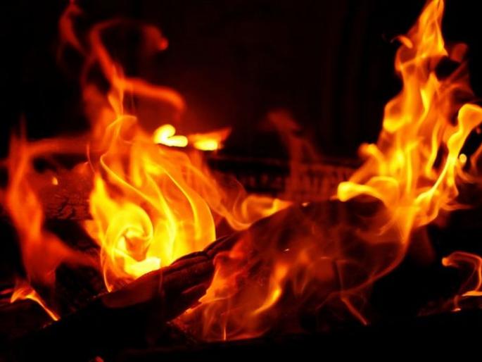 Fire at Akala MIDC; Right laborer injured | अकाेला एमआयडीसीतील दाल मीलला आग; दाेन मजुर जखमी Fire at Akala MIDC; Right laborer injured | अकाेला एमआयडीसीतील दाल मीलला आग; दाेन मजुर जखमी