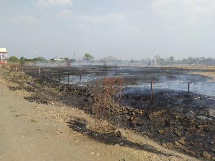 Fire in village; fodder burn | विद्यूत तारांच्या घर्षणाने लागली आग; लाखो रुपयांचा चारा भस्मसात! Fire in village; fodder burn | विद्यूत तारांच्या घर्षणाने लागली आग; लाखो रुपयांचा चारा भस्मसात!