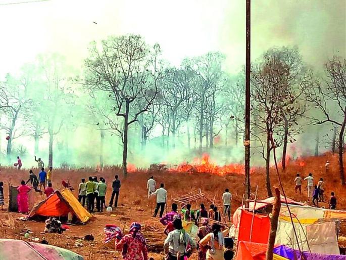 Sailani: forest department forest fire; Woe! | सैलानी : वन विभागाच्या जंगलात आग; अनर्थ टळला! Sailani: forest department forest fire; Woe! | सैलानी : वन विभागाच्या जंगलात आग; अनर्थ टळला!