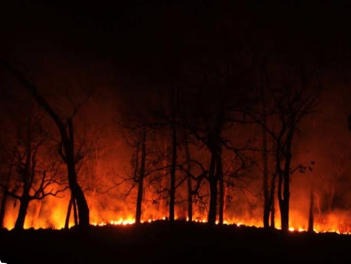 Increase in fire incidents due to rising heat:15 to 25 complaints are received by the fire brigade every day | वाढत्या उष्णतेमुळे आग लागण्याचा घटनांत वाढ : प्रतिदिन अग्निशमन दलाकडे येतात १५ ते २५ तक्रारी Increase in fire incidents due to rising heat:15 to 25 complaints are received by the fire brigade every day | वाढत्या उष्णतेमुळे आग लागण्याचा घटनांत वाढ : प्रतिदिन अग्निशमन दलाकडे येतात १५ ते २५ तक्रारी