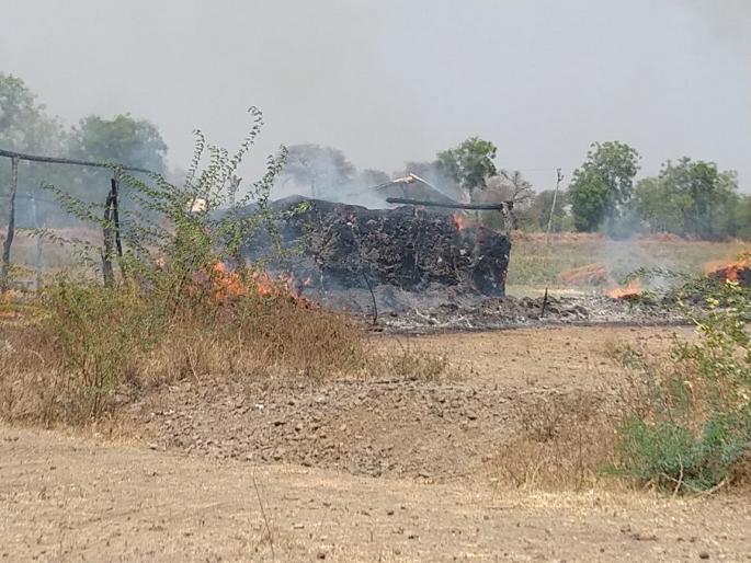 A fire in a hut in Akot; Killed a bull | आकोट येथे शेतातील झोपडीला आग; एक बैल ठार   A fire in a hut in Akot; Killed a bull | आकोट येथे शेतातील झोपडीला आग; एक बैल ठार