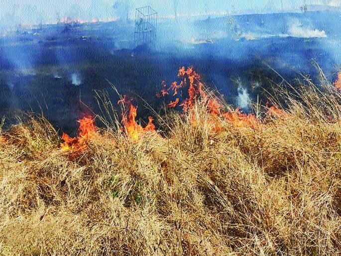 Fire in Lonarre University grounds | लोणेरे विद्यापीठालगत माळरानात वणवा, शेकडो झाडे, वन्यजीव भस्मसात Fire in Lonarre University grounds | लोणेरे विद्यापीठालगत माळरानात वणवा, शेकडो झाडे, वन्यजीव भस्मसात