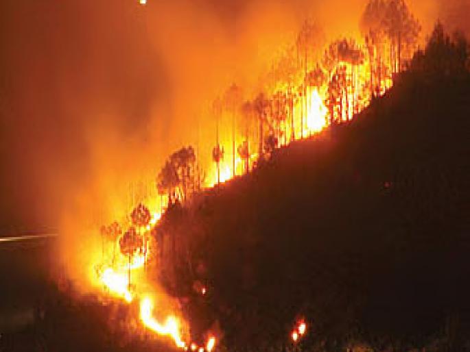 Those who set fire to mountains with bidis will be imprisoned! Provision for direct imprisonment for those who start fires | बिडीने डोंगर पेटवणार तो कोठडीची हवा खाणार! वणवा लावणाऱ्यास थेट कारावासाची तरतूद Those who set fire to mountains with bidis will be imprisoned! Provision for direct imprisonment for those who start fires | बिडीने डोंगर पेटवणार तो कोठडीची हवा खाणार! वणवा लावणाऱ्यास थेट कारावासाची तरतूद