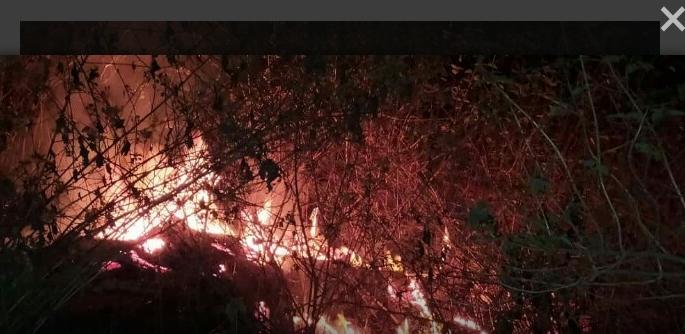 A fire broke out behind the Dev Lingeshwar temple at Shiroda Velagar | शिरोडा वेळागर येथील देव लिंगेश्वर मंदिरच्या मागे अचानक लागली आग A fire broke out behind the Dev Lingeshwar temple at Shiroda Velagar | शिरोडा वेळागर येथील देव लिंगेश्वर मंदिरच्या मागे अचानक लागली आग