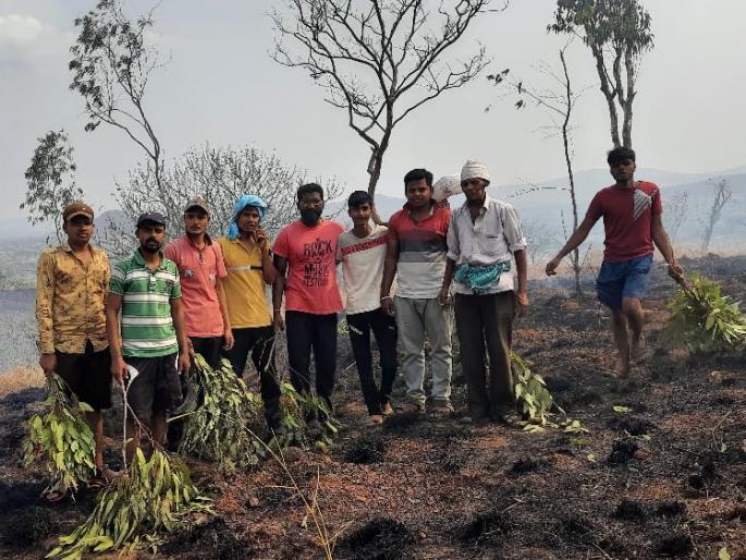 The fire in the mountain was contained on the occasion of the youth of Songe | सोनगेतील युवकांच्या प्रसंगावधानतेने डोंगराला लागलेली आग आटोक्यात
