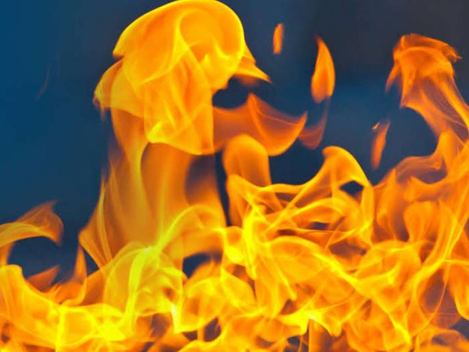 Woman tahsildar burnt to death In Telangaga's Rangareddy District | धक्कादायक! महिला तहसिलदाराला ऑफिसमध्ये घुसून जिवंत जाळले Woman tahsildar burnt to death In Telangaga's Rangareddy District | धक्कादायक! महिला तहसिलदाराला ऑफिसमध्ये घुसून जिवंत जाळले