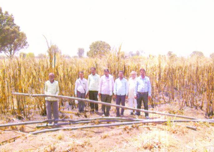 Fire to sugarcane farming; Three lakhs of damage | उसाच्या शेतीला आग लागून तीन लाखांचे नुकसान Fire to sugarcane farming; Three lakhs of damage | उसाच्या शेतीला आग लागून तीन लाखांचे नुकसान