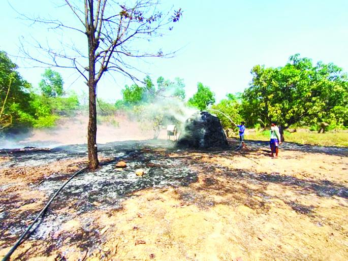 Millions lost due to fire | नेमळेत बागेस आग लागून लाखोंचे नुकसान Millions lost due to fire | नेमळेत बागेस आग लागून लाखोंचे नुकसान